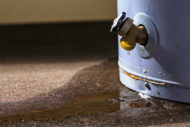 Best 24-hour water damage restoration  in Meyers, CA