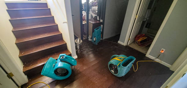 Best Sewage cleanup and water damage restoration  in Meyers, CA