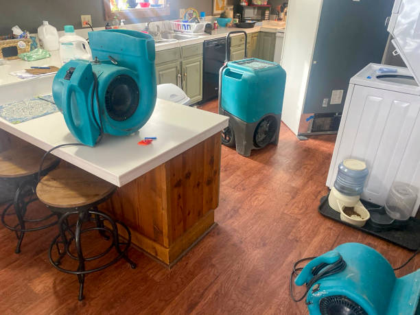 Best Flooded house restoration  in Meyers, CA