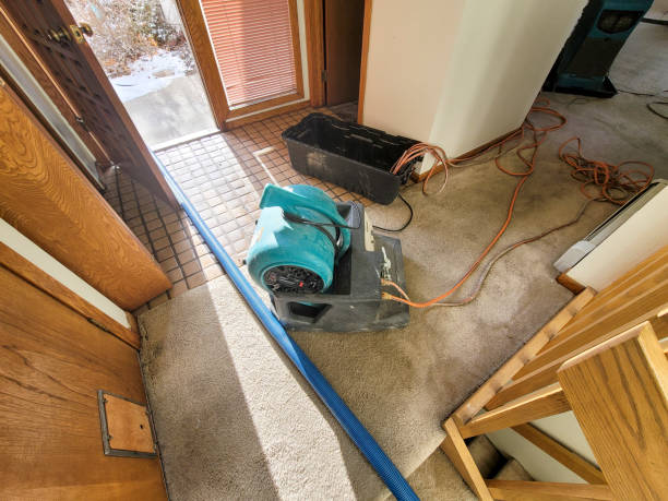 Best 24-hour water damage restoration  in Meyers, CA