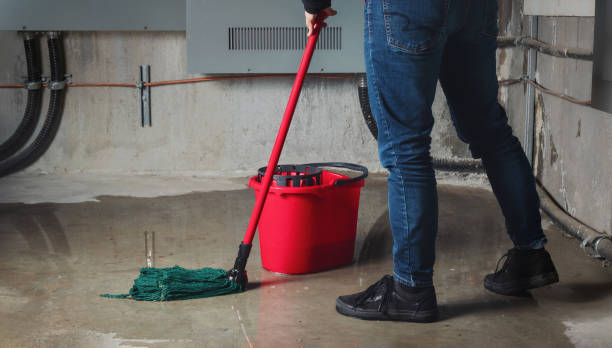 Best Water damage cleanup near me  in Meyers, CA
