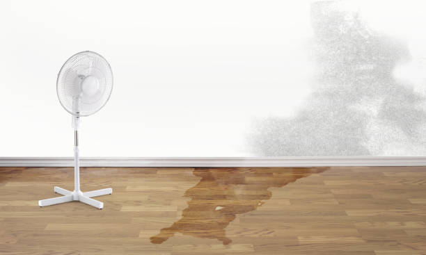 Best Commercial water damage restoration  in Meyers, CA