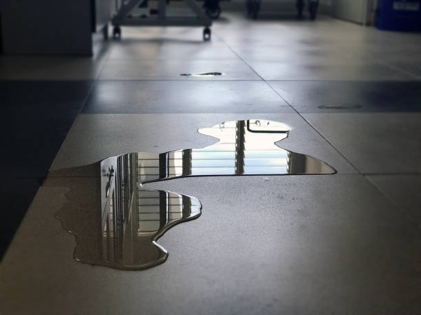 Best Water damage contractors near me  in Meyers, CA