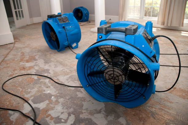 Best Flood damage cleanup  in Meyers, CA