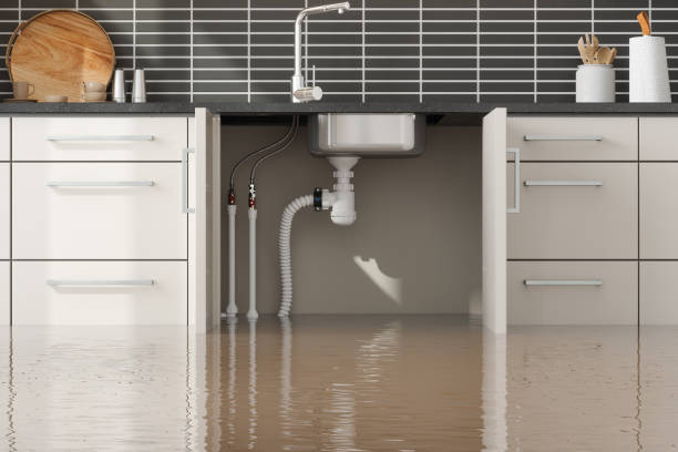 Best Water damage restoration near me  in Meyers, CA