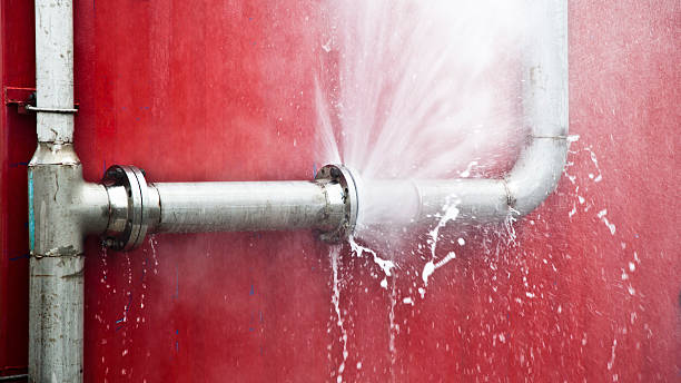 Best Flood restoration services  in Meyers, CA